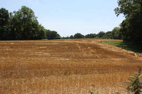 Property photo 18 - AUCTION POSTPONED